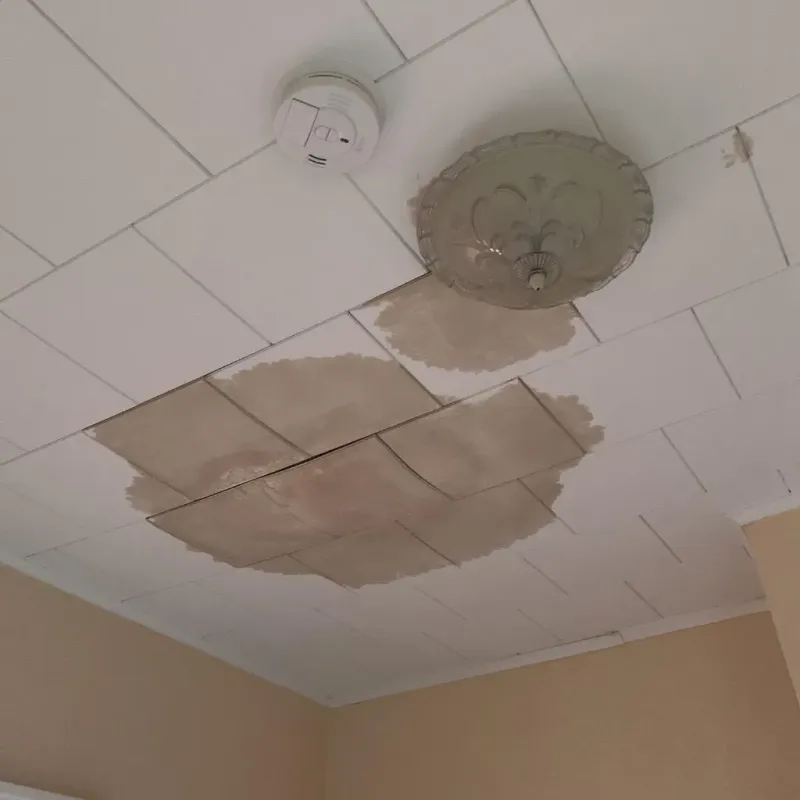 Ceiling Water Damage Repair in Murphys Estates, SC