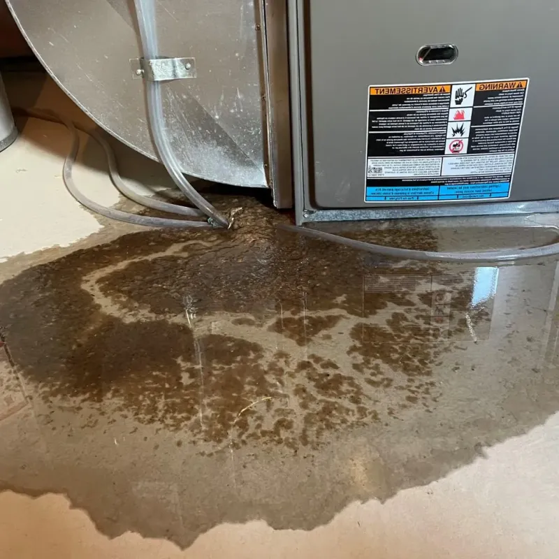 Pipe Burst and Leak Restoration in Murphys Estates, SC