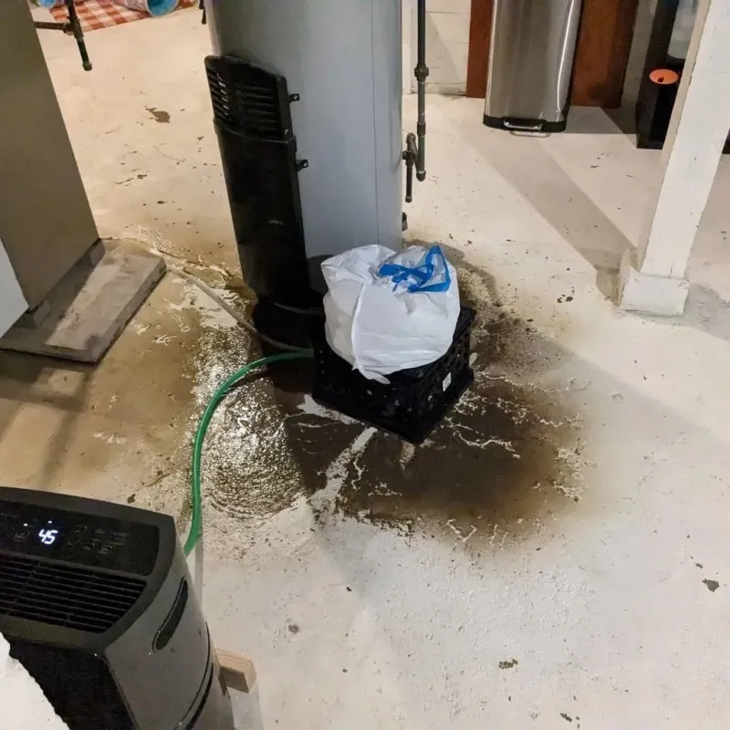 Sewage Backup Cleanup Service in Murphys Estates, SC